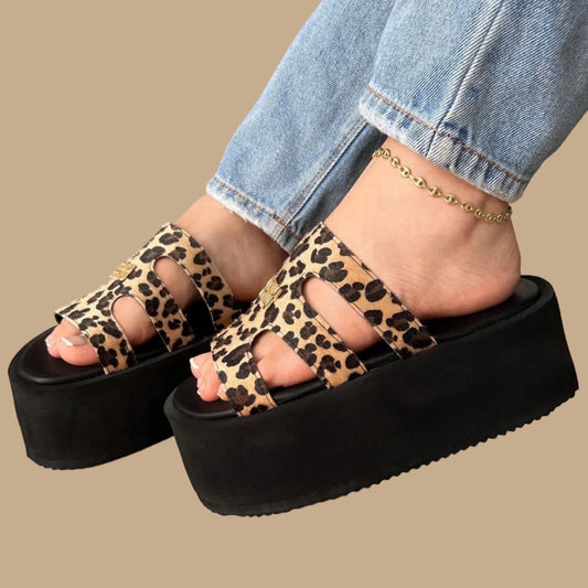 PLATAFORMA MICRO MIU